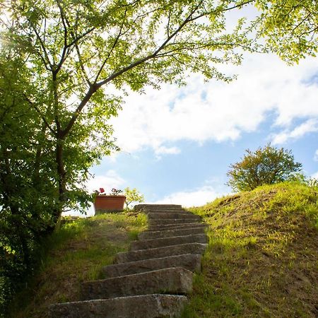 Ca' Noeva Bed & Breakfast Valverde  Luaran gambar