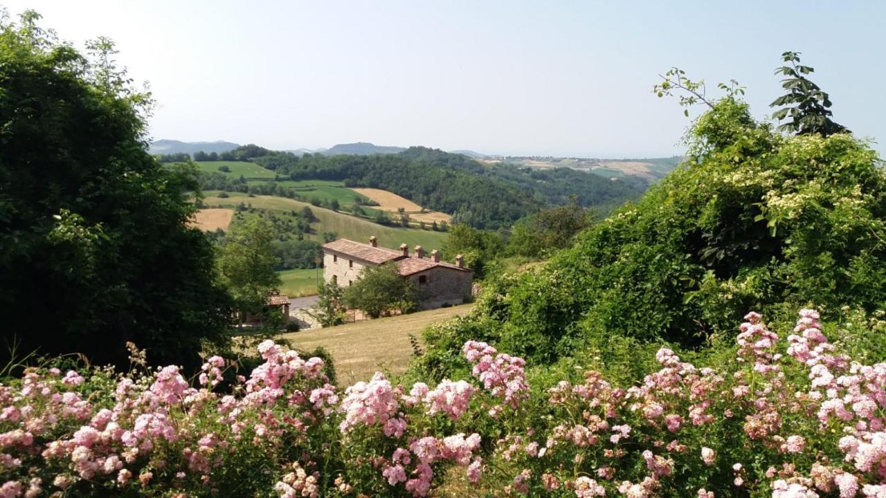 Ca' Noeva Bed & Breakfast Valverde  Luaran gambar