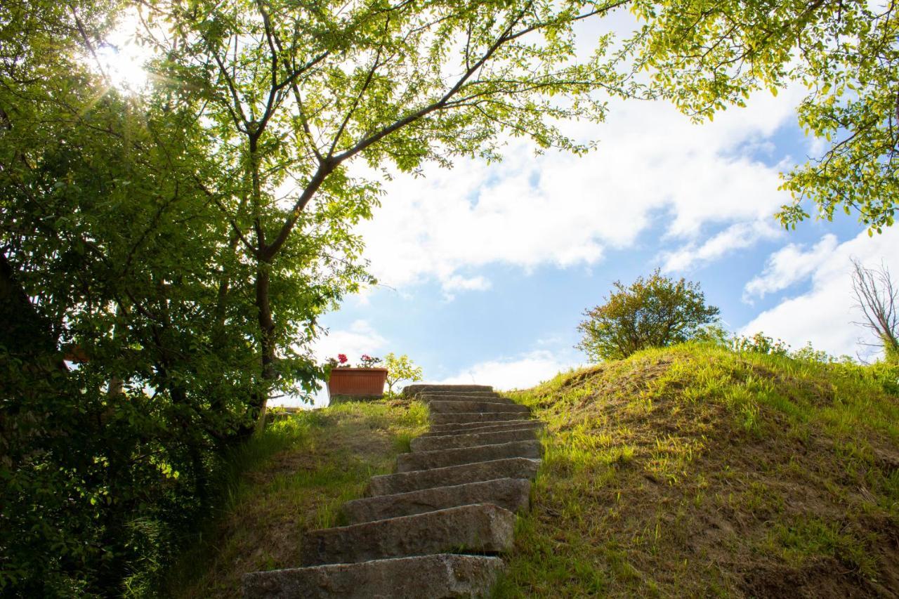 Ca' Noeva Bed & Breakfast Valverde  Luaran gambar